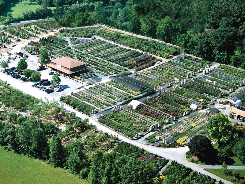 South Branch Retail and Growing Farm